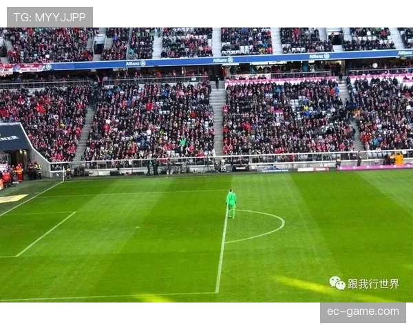 黄墙主场再显威力,德甲赛季表现亮眼彰显球队竞争力提升 黄墙主场再显威力,德甲赛季表现亮眼彰显球队竞争力提升