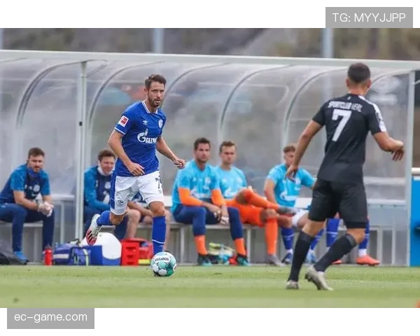 费内巴切边路进攻表现稳健，战术执行效率持续提升